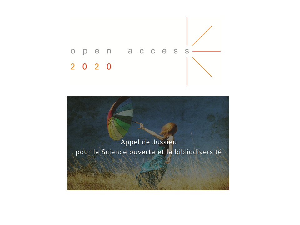 illustration Building Bibliodiversity with Multiple Approaches. Joint Statement of the French Open Science Committee, promotors of the Jussieu Call, and the Open Access 2020 Initiative