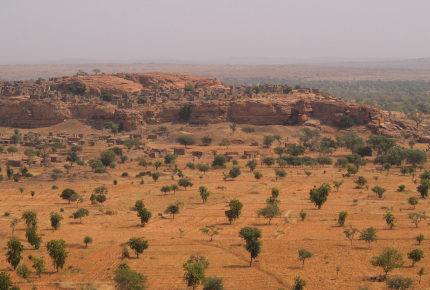 Arbres et arbustes dans des zones